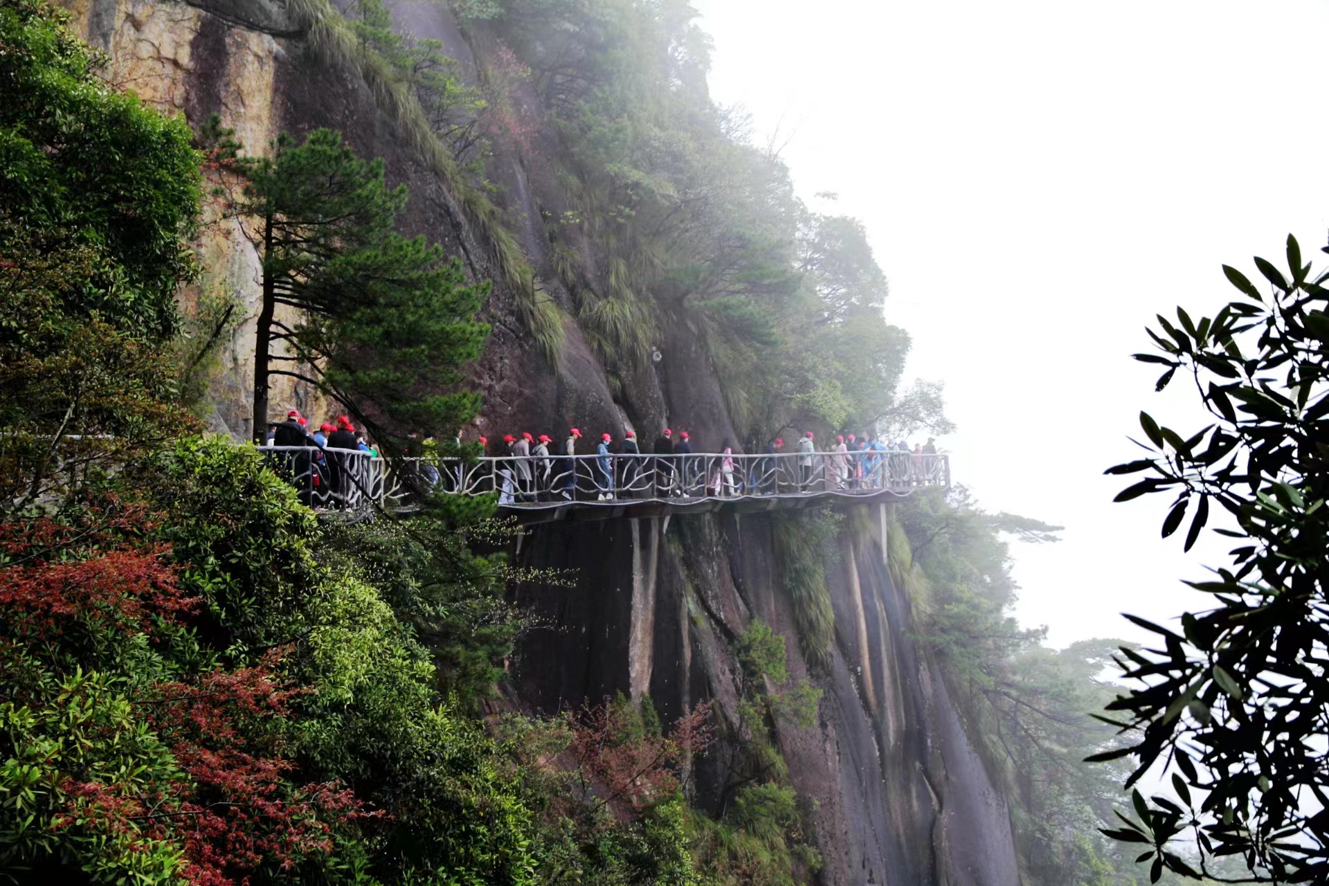 1682066354830664.jpg 3a7396c0-62fb-4f05-821e-2ee9fbd717e9.jpg